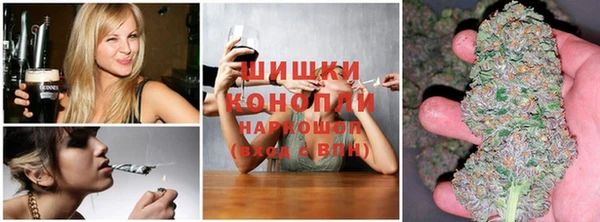 круглые Покачи