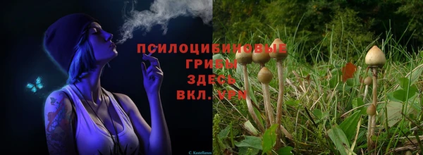 мяу мяу кристалл Железногорск-Илимский